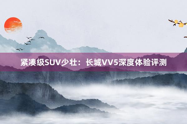 紧凑级SUV少壮：长城VV5深度体验评测